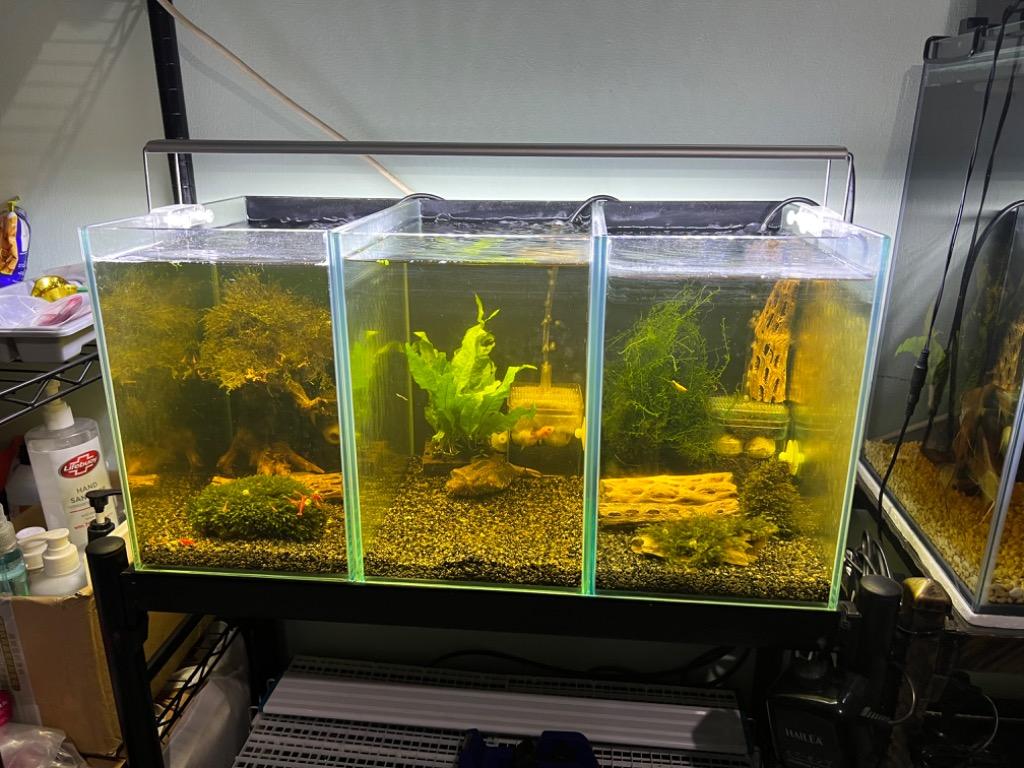 3pc fish tank for sell 1650900637 5ac88d8a progressive